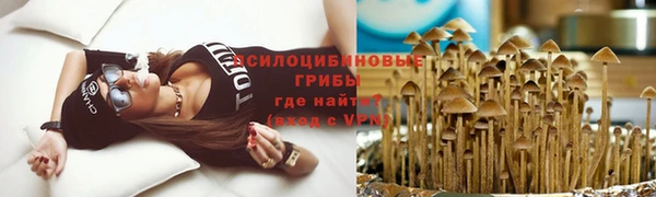 прущая мука Инта